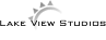 flash design